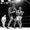 Boxing World Heavyweight Champion Rocky Marciano defends his title against Archie Moore and wins with a knockout in the 9th round. Marciano would retire in 1956 and is the only heavyweight champion to go undefeated.